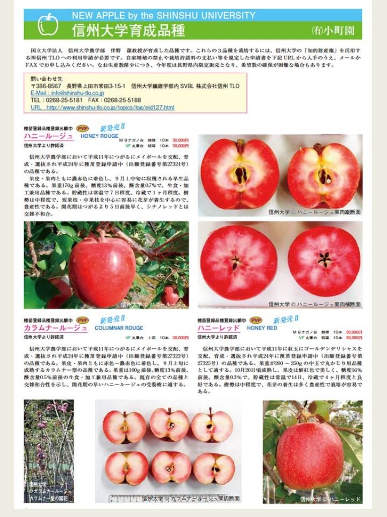 信州大学