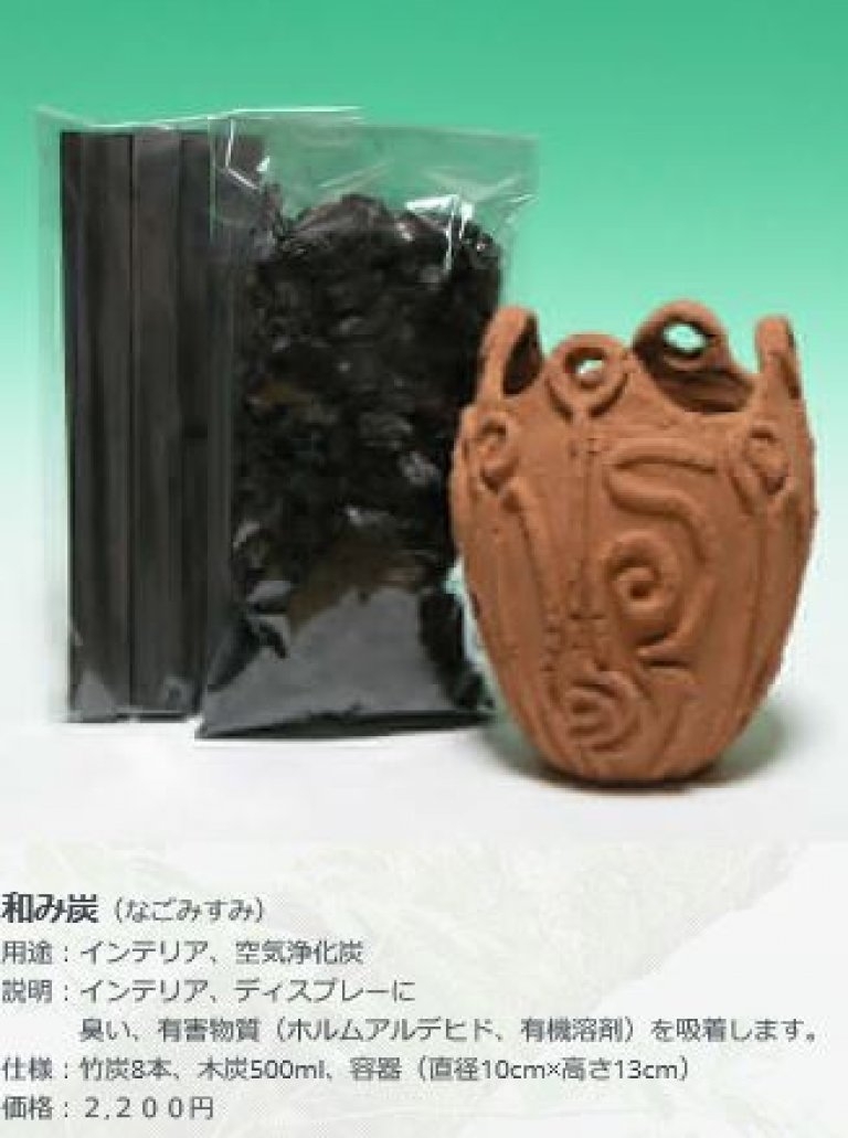 （株）伊那炭化研究所