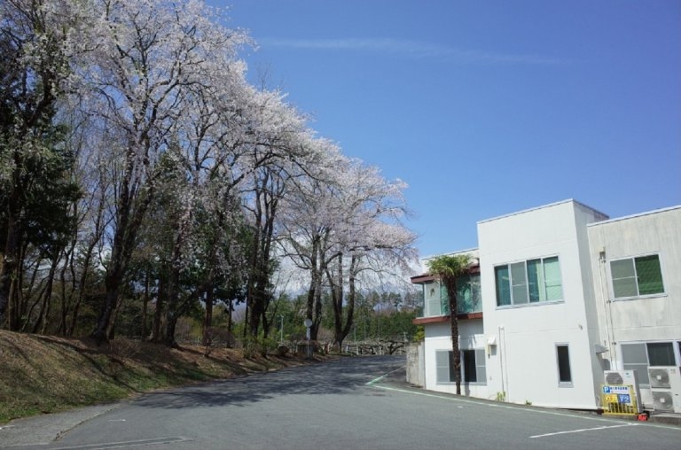 豊信合成（株）